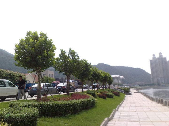 大连滨海西路-森林动物园观光20100821136