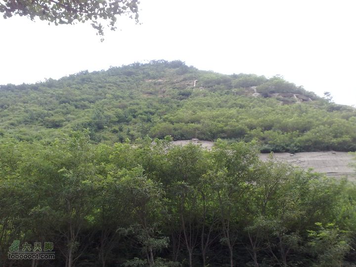 大连滨海西路-森林动物园观光20100821155