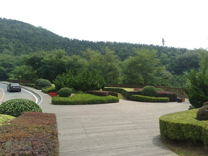 大连滨海西路-森林动物园观光20100821171