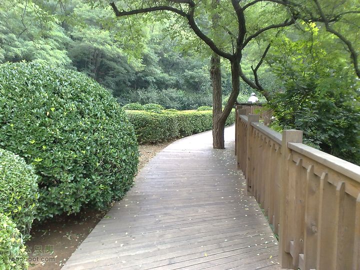大连滨海西路-森林动物园观光20100821177