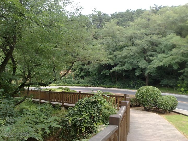 大连滨海西路-森林动物园观光20100821178