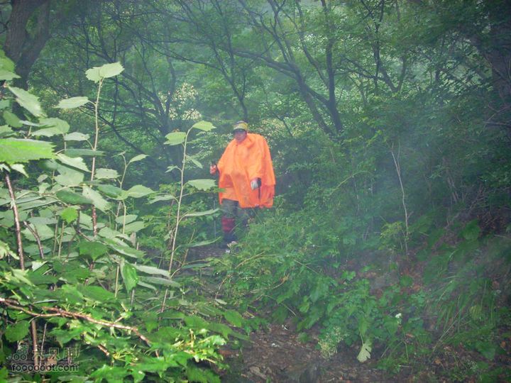 下马威—东灵山—北灵山—黄草梁—柏峪—爨底下—斋堂ZN穿越黄草梁子下山
