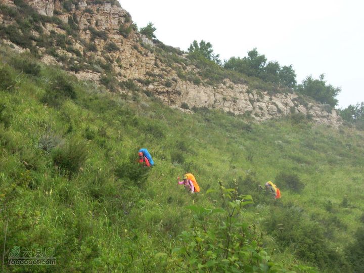 下马威—东灵山—北灵山—黄草梁—柏峪—爨底下—斋堂ZN穿越下撤无名2