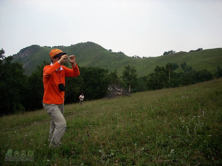 下马威—东灵山—北灵山—黄草梁—柏峪—爨底下—斋堂ZN穿越夏子高山草甸子