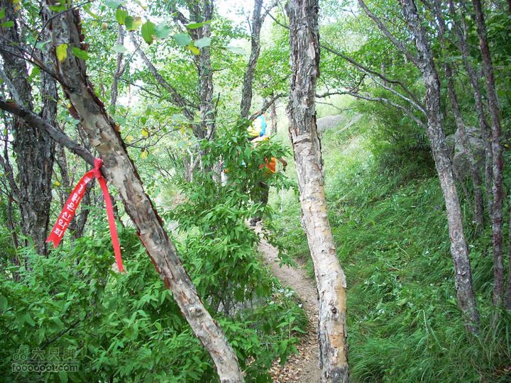 下马威—东灵山—北灵山—黄草梁—柏峪—爨底下—斋堂ZN穿越小路边的路标