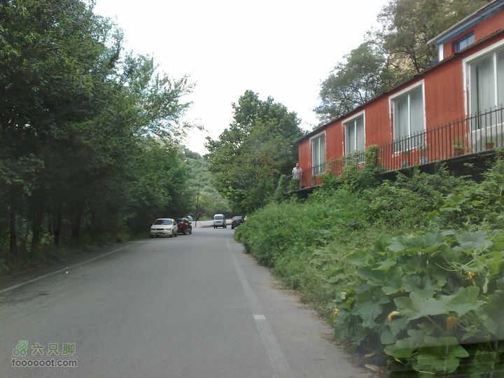 大连金州大黑山森林公园自驾观光20100829566