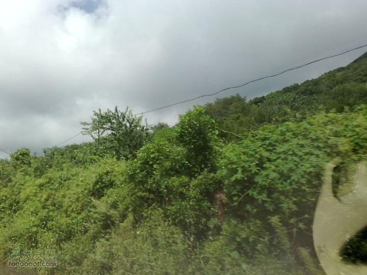 大连金州大黑山森林公园自驾观光20100829569