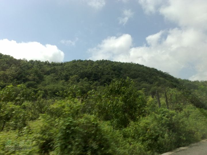 大连金州大黑山森林公园自驾观光20100829570