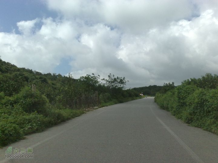 大连金州大黑山森林公园自驾观光20100829571