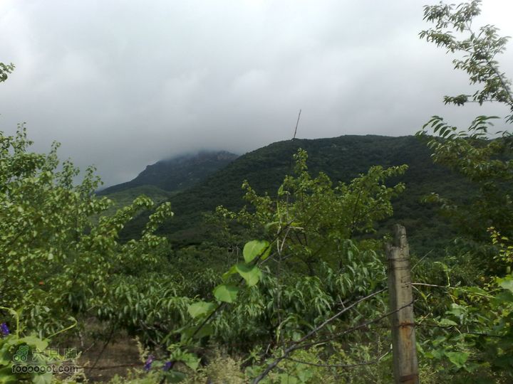 大连金州大黑山森林公园自驾观光20100829572