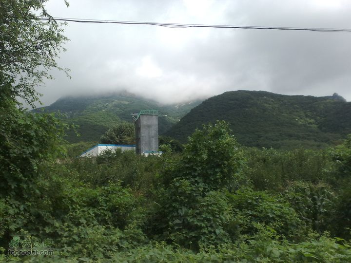 大连金州大黑山森林公园自驾观光20100829574
