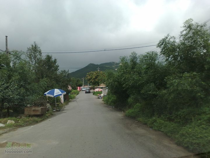 大连金州大黑山森林公园自驾观光20100829575