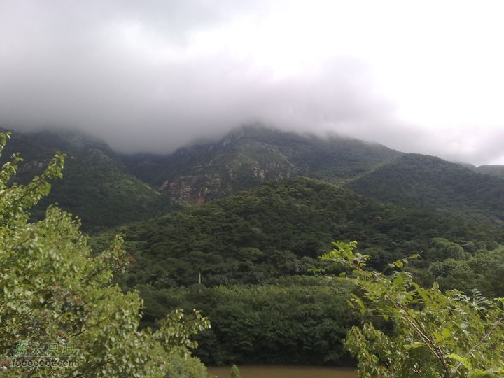 大连金州大黑山森林公园自驾观光20100829588