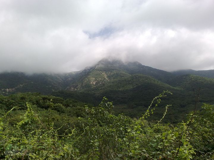 大连金州大黑山森林公园自驾观光20100829589
