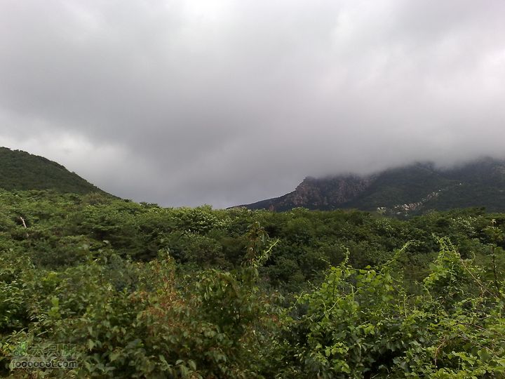 大连金州大黑山森林公园自驾观光20100829590