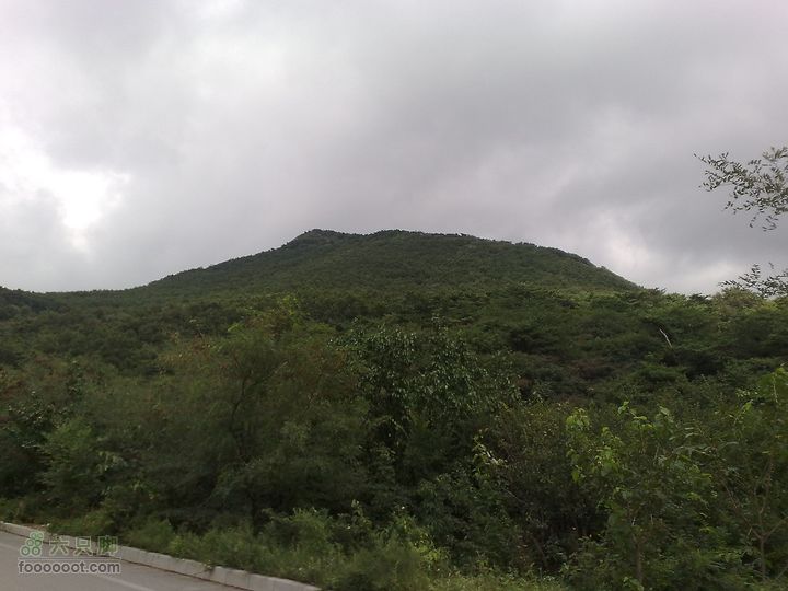 大连金州大黑山森林公园自驾观光20100829591
