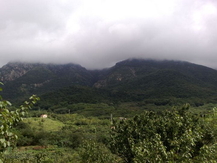 大连金州大黑山森林公园自驾观光20100829592