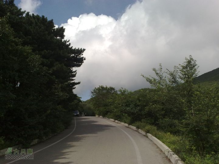大连金州大黑山森林公园自驾观光20100829593