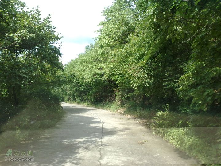 大连金州大黑山森林公园自驾观光20100829594