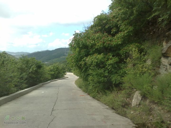 大连金州大黑山森林公园自驾观光20100829595