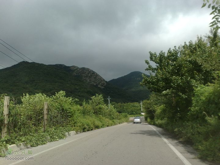 大连金州大黑山森林公园自驾观光20100829576