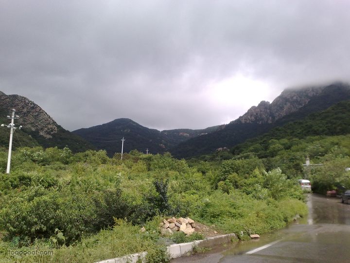 大连金州大黑山森林公园自驾观光20100829577
