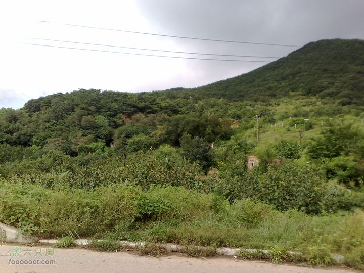 大连金州大黑山森林公园自驾观光20100829578