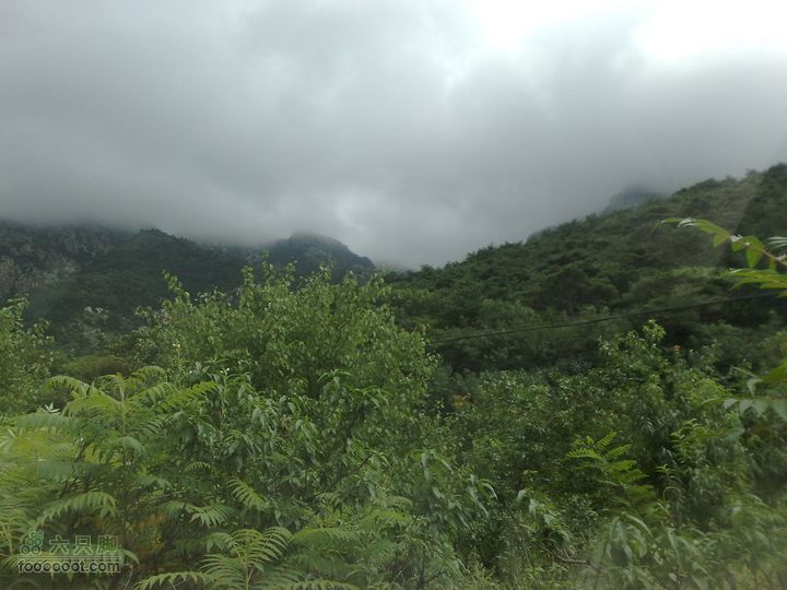 大连金州大黑山森林公园自驾观光20100829582