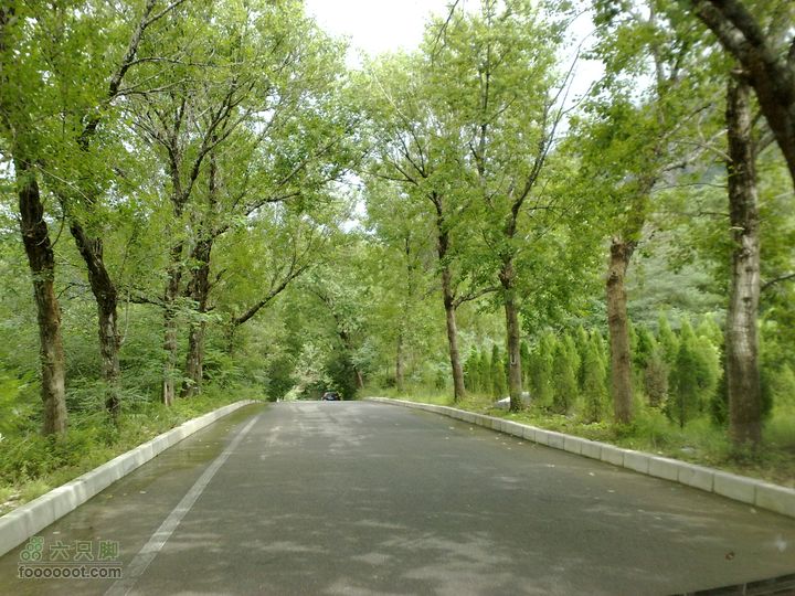 大连金州大黑山森林公园自驾观光20100829583