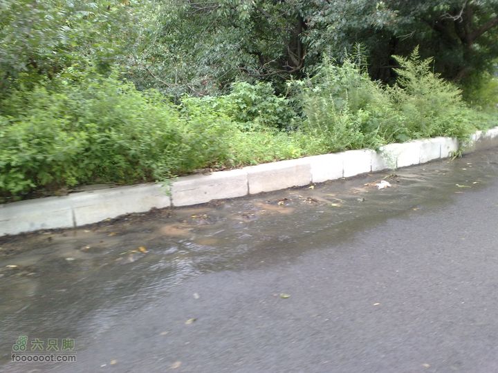大连金州大黑山森林公园自驾观光20100829584