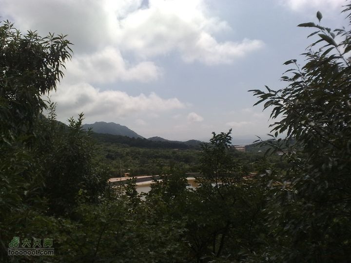 大连金州大黑山森林公园自驾观光20100829587