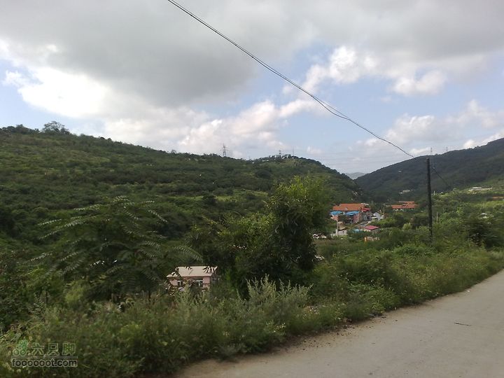 大连金州大黑山森林公园自驾观光20100829598