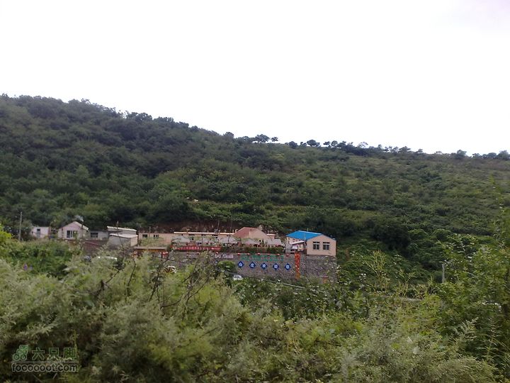 大连金州大黑山森林公园自驾观光20100829599