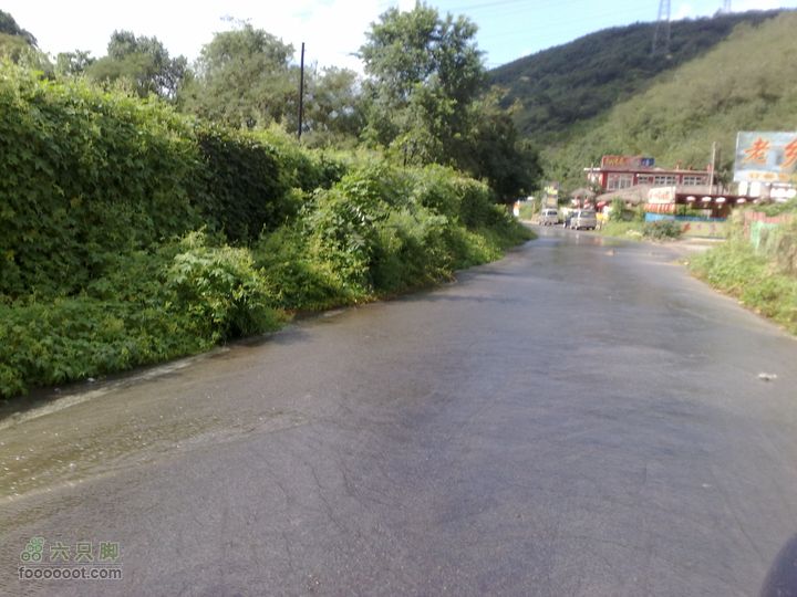 大连金州大黑山森林公园自驾观光20100829605