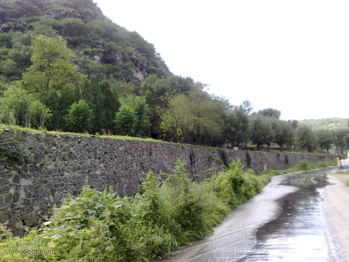 大连金州大黑山森林公园自驾观光20100829606