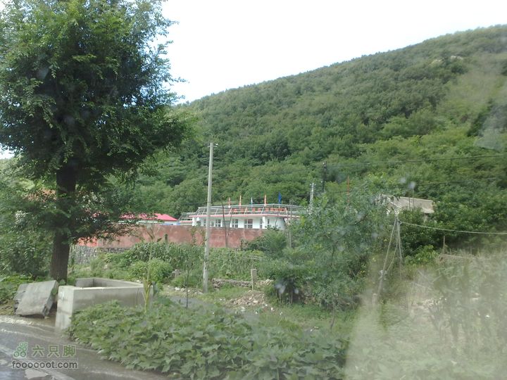 大连金州大黑山森林公园自驾观光20100829607