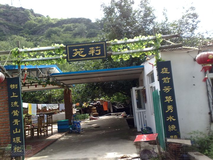 大连金州大黑山森林公园自驾观光20100829608