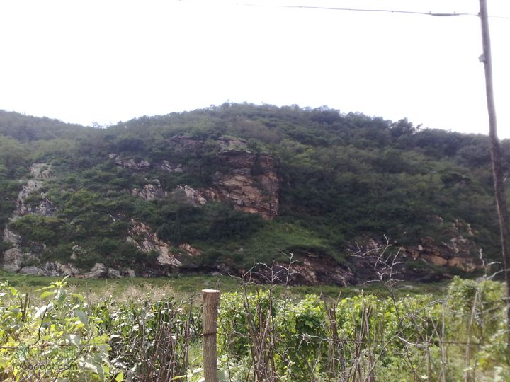 大连金州大黑山森林公园自驾观光20100829609