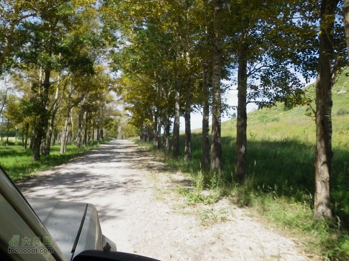 自驾黑龙山,穿老掌沟,爬东猴顶宿传奇山庄车外拍一张
