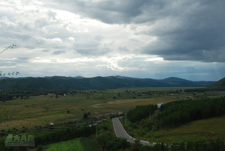 2010呼伦贝尔吃羊之旅D2DSC_7767