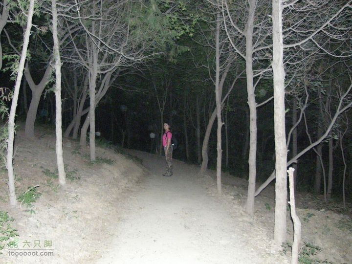 新鲜出炉-模式口-法海寺-八大处夜爬（模八夜爬）P8310039