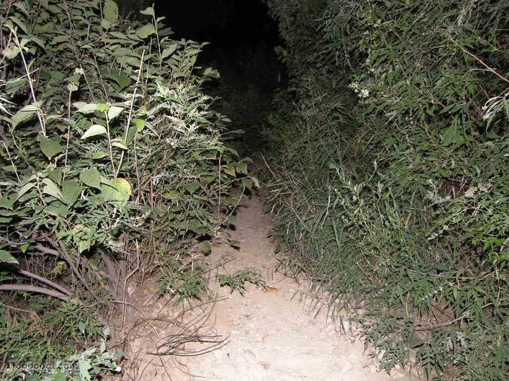 新鲜出炉-模式口-法海寺-八大处夜爬（模八夜爬）通往六处的小路