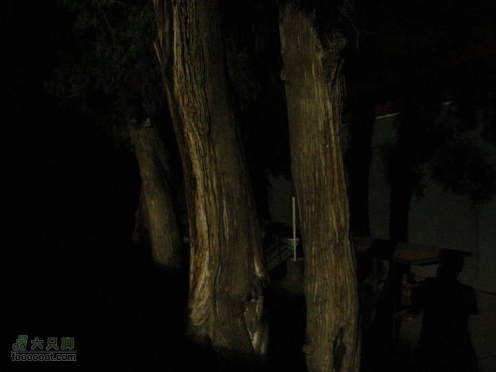 新鲜出炉-模式口-法海寺-八大处夜爬（模八夜爬）P8310059