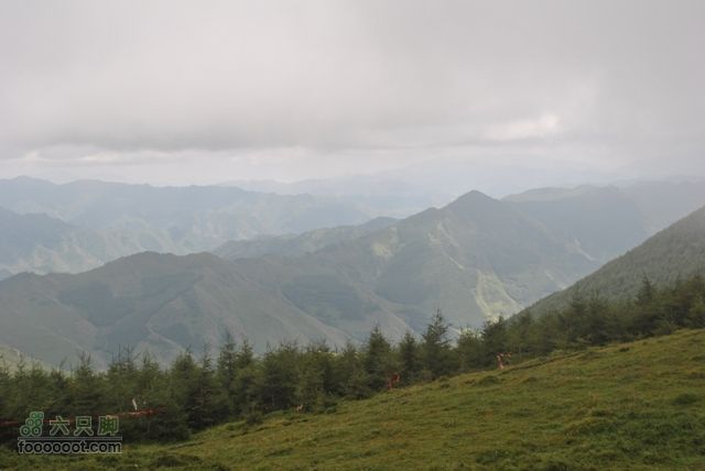 五台顶三DSC_0195