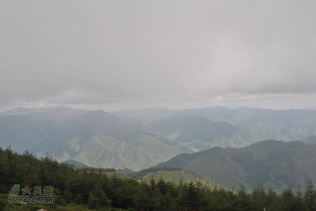 五台顶三DSC_0196