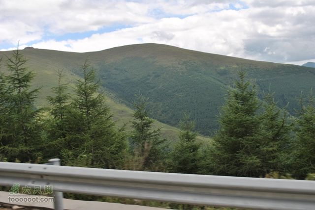 五台顶三DSC_0219