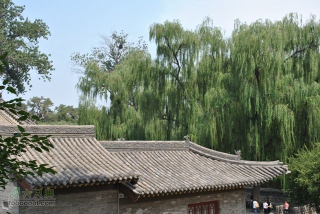 晋祠DSC_0450