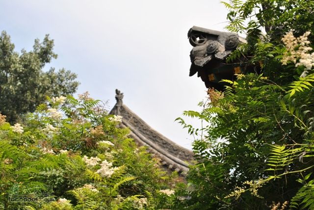 晋祠DSC_0459