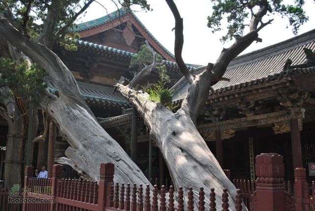 晋祠DSC_0495