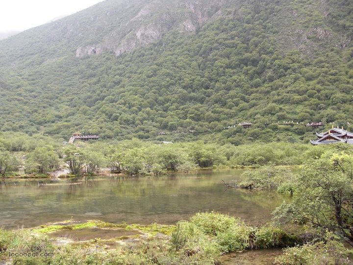 兰州-武都-九寨沟-甘南CIMG1487_眸目压缩_眸目压缩